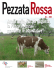 Pezzata Rossa 3 - 2009