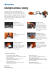 scheda tecnica decespugliatore husqvarna 233rj
