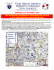 Visualizza Relazione