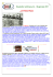 Newsletter settimana 24 - 30 gennaio 2011