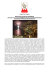 COMUNICATO STAMPA MONACO 2014: FOCUS