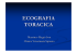 ecografia toracica - Clinica Veterinaria Spirano