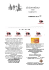 scarica il pdf