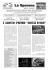 scarica la versione in pdf