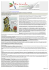 Stampa articolo