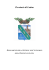 Regolamento gestione Autoparco