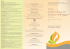 programma anti aging copia