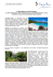 comunicato stampa - ABC PR Consulting