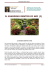 il giardino dentro di noi - il mistero del regno di dio