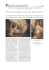 pdf - Fondazione Internazionale Menarini