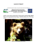 Layman`s Report - Parco Naturale Adamello Brenta