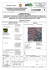 c1633001-psc-relazione tecnica 09_003