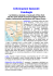 Cambogia - joycard