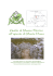 Guida al Museo Storico all`aperto del Monte Piana