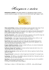 Scarica PDF - Chianti Viaggi