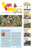 informa - Comune di San Vittore Olona