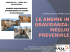 L`ANEMIA IN GRAVIDANZA: RUOLO DELLA LATTOFERRINA