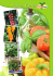Linea Orto - Gruppo Padana