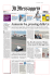 15 Settembre 2014 - Movimento 5 Stelle Fano