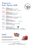 Programma Feste 2011_1