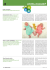 Copia di Layout 1