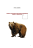 conosci l`orso bruno - Orso e grandi carnivori