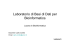 pdf (it, 374 KB, 4/11/11)