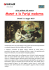 Visita alla mostra su Manet
