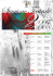 Scarica il documento - formato pdf