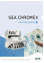 CHROMEX italiano