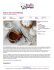 Dulce de leche Bimby - Ricetta veloce | RicetteDalMondo
