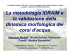 La metodologia IDRAIM e la valutazione della dinamica morfologica