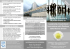 Scarica la brochure  - Università degli Studi di Cassino