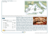 Versione PDF