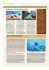 Trend 9 cover - STE: Scuba Tourism for the Environment