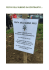 festa dell`albero in continuita`…