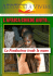 l`africa chiede aiuto… - Fondazione Aiutiamoli a Vivere