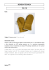 F215 [dimensione file: 633.61Kb ]