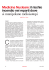 Rivista Antincendio
