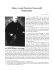 Mons. Luigi Puecher Passavalli