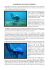 IN IMMERSIONE CON L`UBS40 e L`OUROBOROS