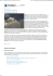 Galileo - Giornale di Scienza | Una webcam sull - Ev-K2-CNR