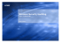 Wireless Security Auditing