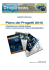 Piano dei Progetti 2010