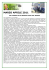 marzo aprile 2011 - Comune di Bresso