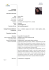 Curriculum Vitae Europeo di anisoara eftime