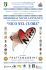 torneo - Nico nel Cuore