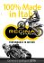 Manutenzione - Regina Chain