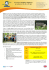 Corso Estivo a Brighton, Inghilterra, per adolescenti
