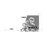 2001 - TMAX CLUB ASD